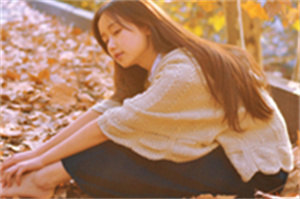 上海龙凤419：在上海爱情中实现个人成长的故事